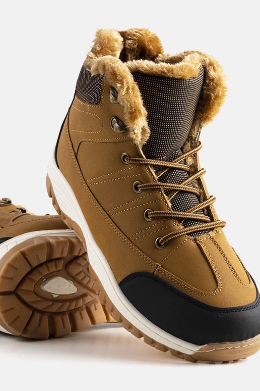 Brune isolerede Violette støvler Brune isolerede Violette støvler