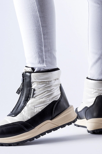 Ritter hvide isolerede...