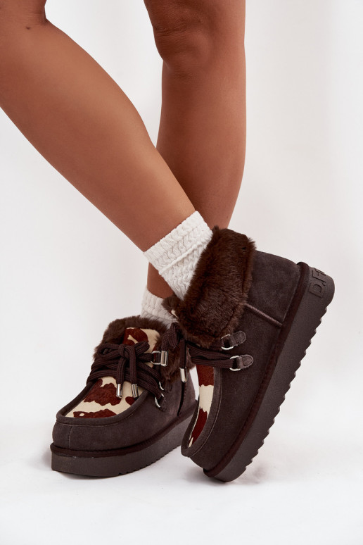 Bottes de neige FémininActivéturalnego en daimu Łaty D.Franklin DFSH375008 CzekoladoÀe