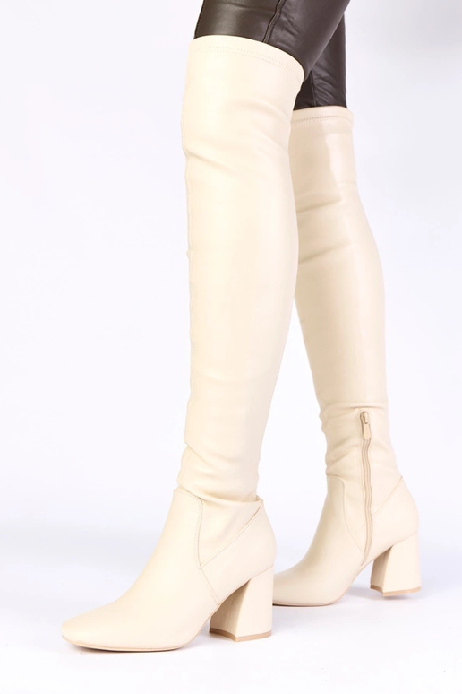 Bottes longues couleur sable...