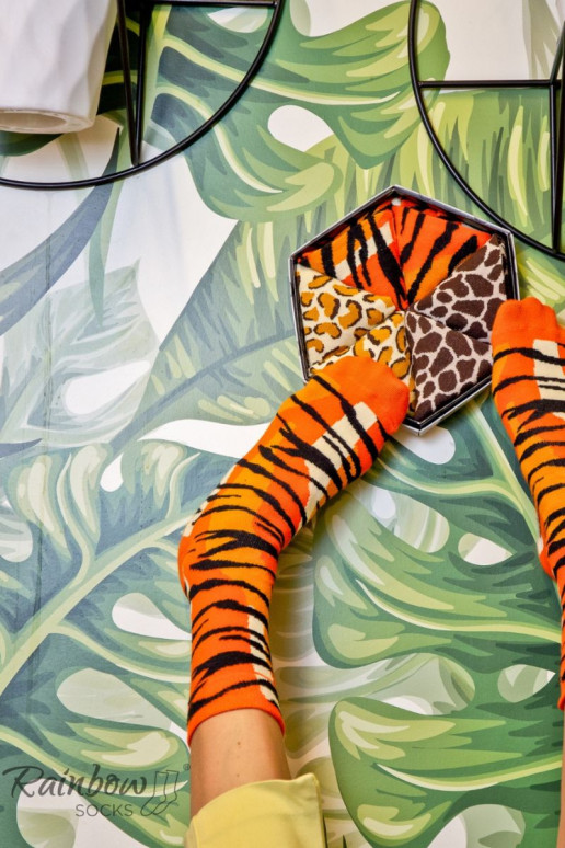 Chaussettes colorées dans une boîte avec motifs d'animaux sauvages, 3 paires Chaussettes colorées dans une boîte avec motifs d'animaux sauvages, 3 paires