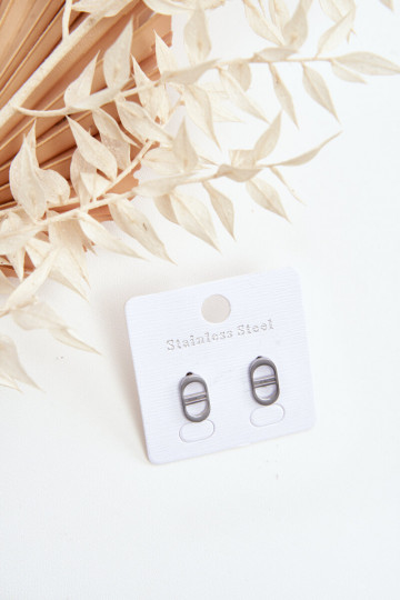Ovale oorbellen in zilverkleur